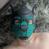 pup_loyd