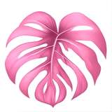 modelsbeautiesofexotica